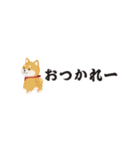 ちいさな柴犬＊毎日つかえる」（個別スタンプ：22）