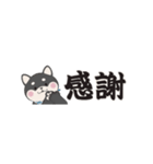 ちいさな柴犬＊毎日つかえる」（個別スタンプ：23）