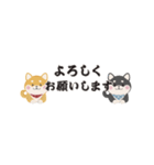 ちいさな柴犬＊毎日つかえる」（個別スタンプ：24）