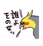 オカメインコです。（個別スタンプ：1）