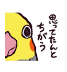 オカメインコです。（個別スタンプ：2）