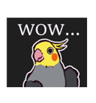 オカメインコです。（個別スタンプ：5）