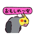 オカメインコです。（個別スタンプ：6）
