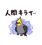 オカメインコです。（個別スタンプ：8）