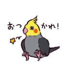 オカメインコです。（個別スタンプ：9）
