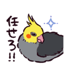オカメインコです。（個別スタンプ：11）