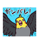 オカメインコです。（個別スタンプ：14）