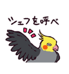 オカメインコです。（個別スタンプ：19）