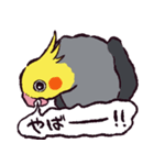 オカメインコです。（個別スタンプ：20）