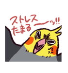オカメインコです。（個別スタンプ：24）