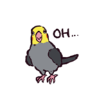 オカメインコです。（個別スタンプ：25）
