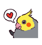 オカメインコです。（個別スタンプ：29）