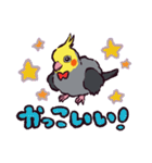 オカメインコです。（個別スタンプ：31）