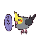 オカメインコです。（個別スタンプ：33）