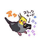 オカメインコです。（個別スタンプ：35）
