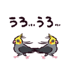 オカメインコです。（個別スタンプ：37）