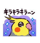 オカメインコです。（個別スタンプ：38）