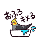 オカメインコです。（個別スタンプ：39）