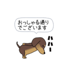 極・激しく尻尾をふるダックス（個別スタンプ：2）