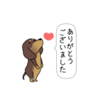 極・激しく尻尾をふるダックス（個別スタンプ：3）