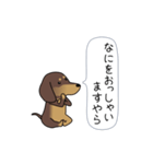 極・激しく尻尾をふるダックス（個別スタンプ：4）