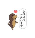 極・激しく尻尾をふるダックス（個別スタンプ：5）
