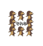 極・激しく尻尾をふるダックス（個別スタンプ：10）