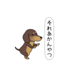 極・激しく尻尾をふるダックス（個別スタンプ：13）