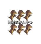 極・激しく尻尾をふるダックス（個別スタンプ：14）