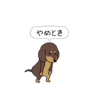 極・激しく尻尾をふるダックス（個別スタンプ：15）