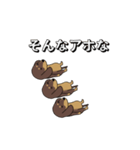 極・激しく尻尾をふるダックス（個別スタンプ：19）