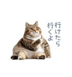 実写のネガティブ猫【面白い・かわいい】（個別スタンプ：3）
