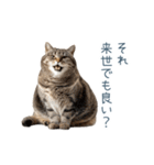 実写のネガティブ猫【面白い・かわいい】（個別スタンプ：4）