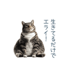 実写のネガティブ猫【面白い・かわいい】（個別スタンプ：8）