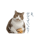 実写のネガティブ猫【面白い・かわいい】（個別スタンプ：12）