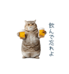 実写のネガティブ猫【面白い・かわいい】（個別スタンプ：13）
