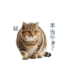 実写のネガティブ猫【面白い・かわいい】（個別スタンプ：29）