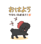 やさしいトイプードル『秋』（個別スタンプ：1）