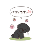 やさしいトイプードル『秋』（個別スタンプ：10）