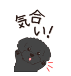 やさしいトイプードル『秋』（個別スタンプ：13）