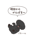 やさしいトイプードル『秋』（個別スタンプ：14）