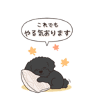 やさしいトイプードル『秋』（個別スタンプ：15）