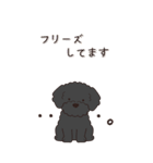 やさしいトイプードル『秋』（個別スタンプ：18）