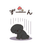やさしいトイプードル『秋』（個別スタンプ：20）
