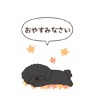 やさしいトイプードル『秋』（個別スタンプ：28）