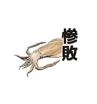 うごくアオリイカスタンプ（個別スタンプ：8）