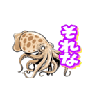 うごくアオリイカスタンプ（個別スタンプ：9）
