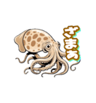 うごくアオリイカスタンプ（個別スタンプ：11）