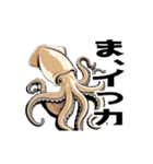 うごくアオリイカスタンプ（個別スタンプ：15）