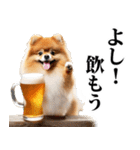 酒☆ポメラニアン（個別スタンプ：1）